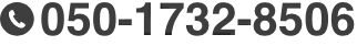 050-1732-8506