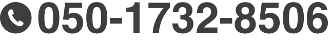 050-1732-8506
